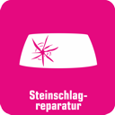 Steinschlagreparatur